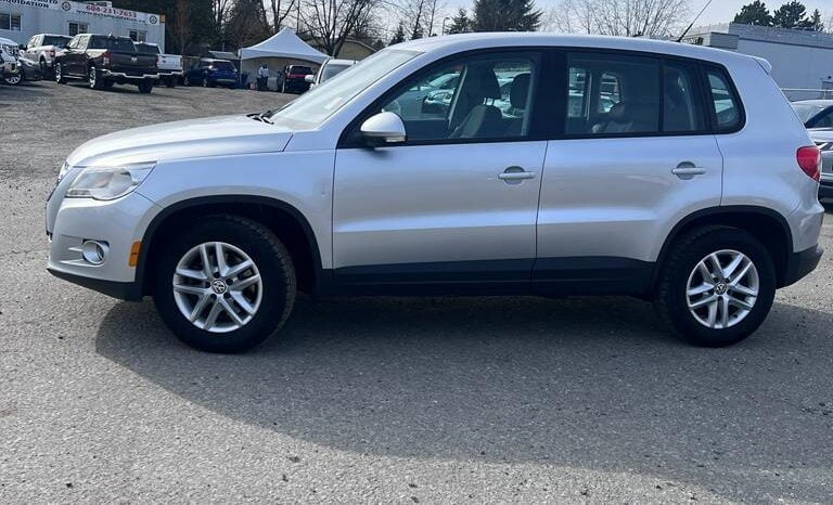 2010 Volkswagen Tiguan full