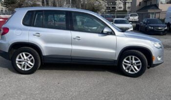 2010 Volkswagen Tiguan full