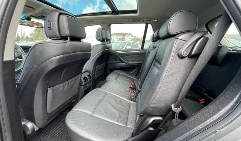 2010 BMW X5 30i full