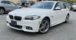 2014 BMW 5 Series 528i xDrive (6)