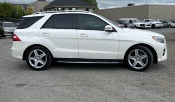 2014 Mercedes-Benz M-Class ML350 full