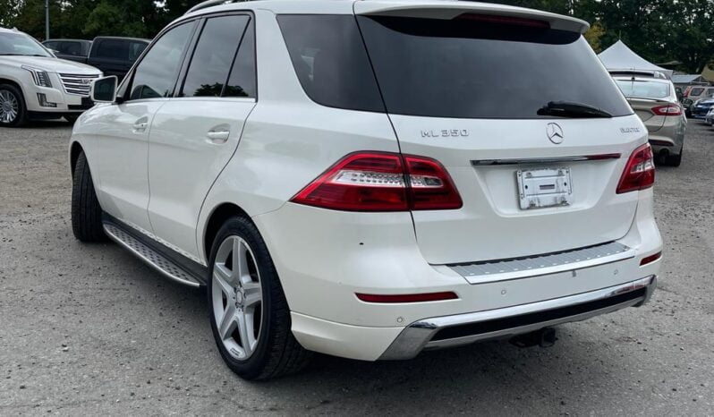 2014 Mercedes-Benz M-Class ML350 full
