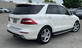 2014 Mercedes-Benz M-Class ML350 full
