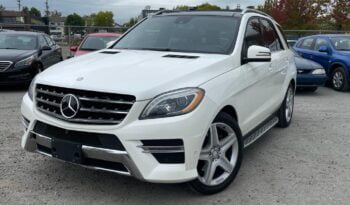 2014 Mercedes-Benz M-Class ML350 full