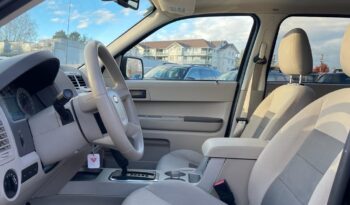 2008 Ford Escape XLT full