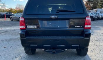 2008 Ford Escape XLT full