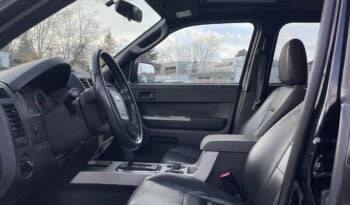2009 Ford Escape XLT full
