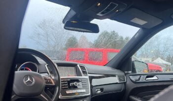 2013 Mercedes Benz M-Class 4MATIC 4dr ML 350 BlueTEC full