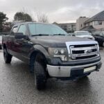 Ford F-150 2013 TRUCK used-cars-fr photo 16