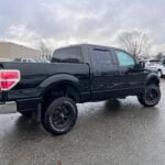 Ford F-150 2013 TRUCK used-cars-fr photo 9