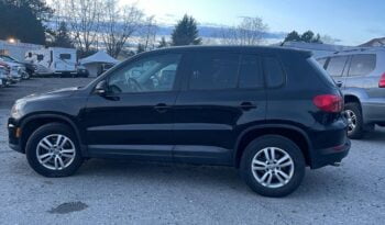 2013 Volkswagen Tiguan S full