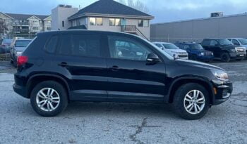 2013 Volkswagen Tiguan S full