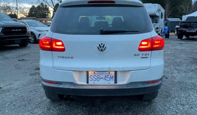 2014 Volkswagen Tiguan full