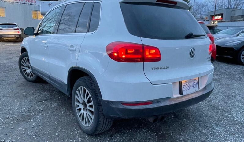 2014 Volkswagen Tiguan full
