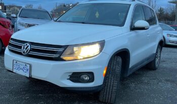 2014 Volkswagen Tiguan full