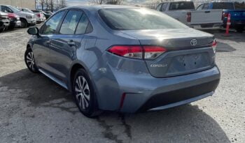 2022 Toyota Corolla Hybrid full