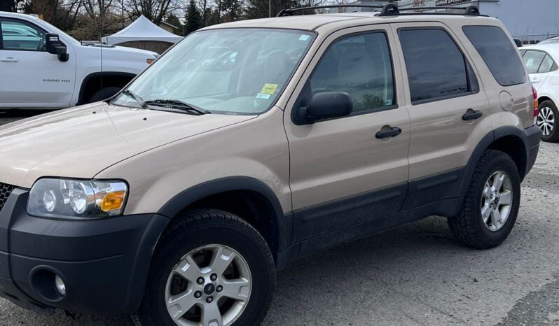 2007 Ford Escape XLT full
