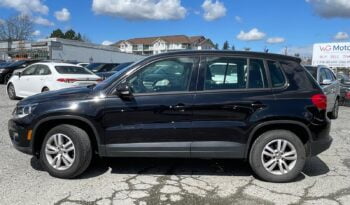 2013 Volkswagen Tiguan full