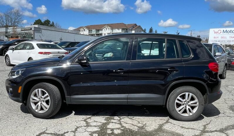 2013 Volkswagen Tiguan full