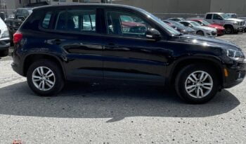 2013 Volkswagen Tiguan full