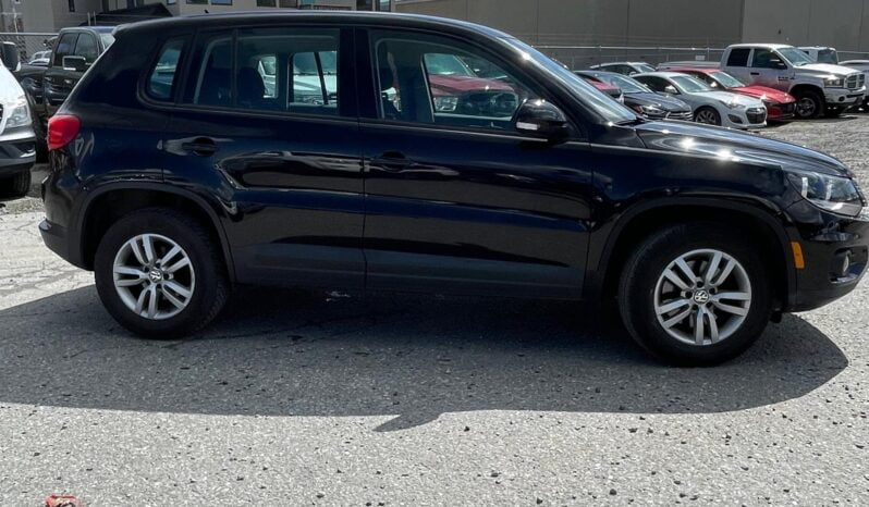 2013 Volkswagen Tiguan full
