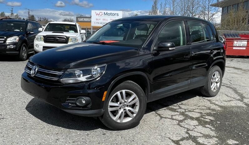 2013 Volkswagen Tiguan full