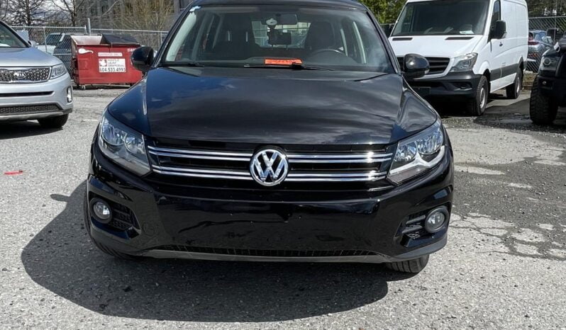 2013 Volkswagen Tiguan full