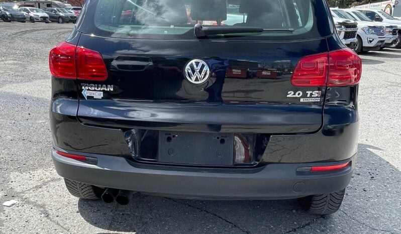 2013 Volkswagen Tiguan full