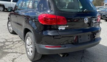 2013 Volkswagen Tiguan full