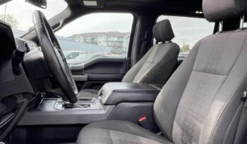 2020 Ford F-150 full