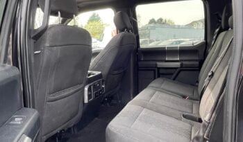 2020 Ford F-150 full