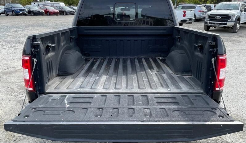 2020 Ford F-150 full