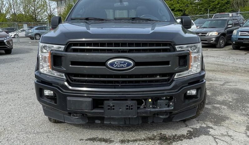 2020 Ford F-150 full