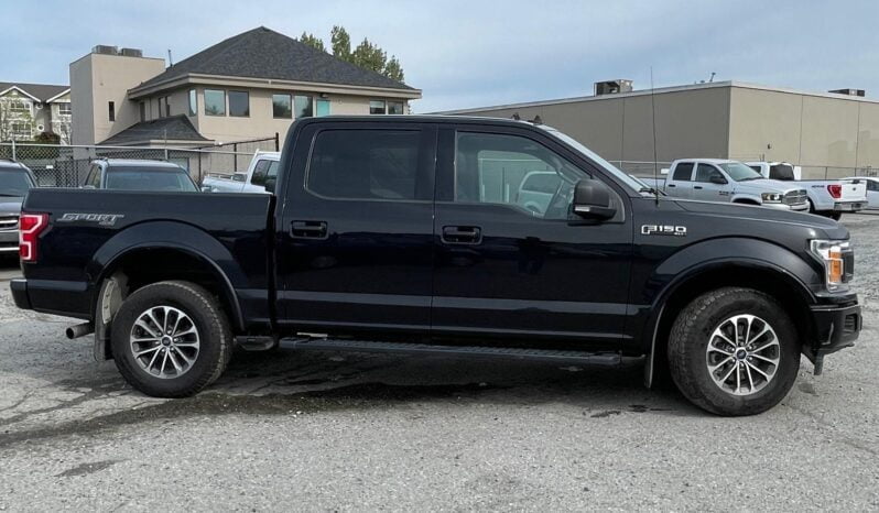 2020 Ford F-150 full