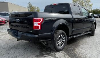 2020 Ford F-150 full