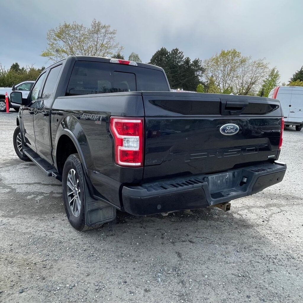 Ford F-150 2020 TRUCK used-cars-fr