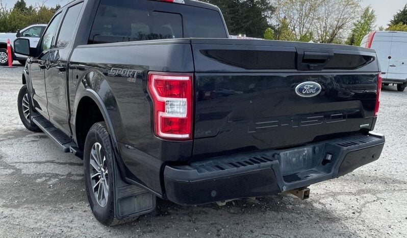 2020 Ford F-150 full