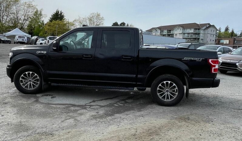 2020 Ford F-150 full