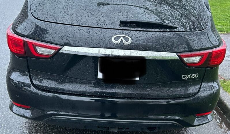 2019 INFINITI QX60 PURE full