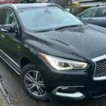 INFINITI QX60 2019 SUV used-cars photo 19