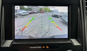 2019 Ford F-150 full