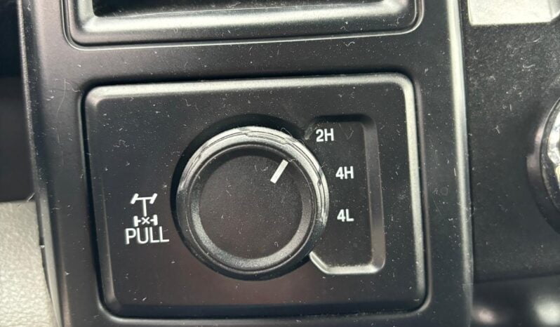 2019 Ford F-150 full