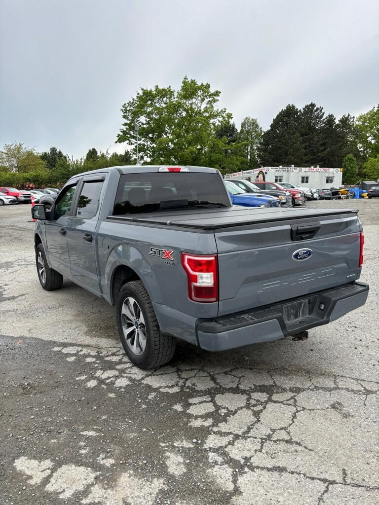 Ford F-150 2019 TRUCK used-cars-fr