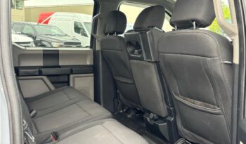 2019 Ford F-150 full