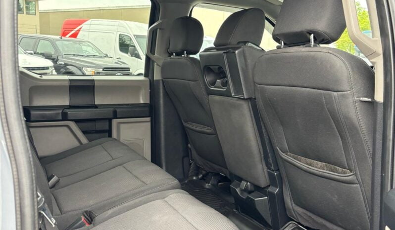 2019 Ford F-150 full