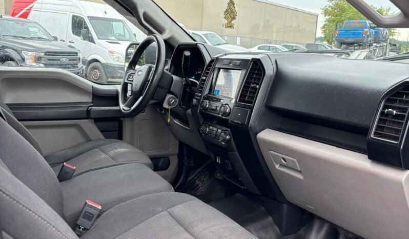 2019 Ford F-150 full
