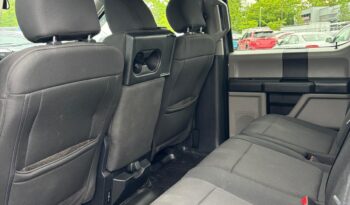 2019 Ford F-150 full