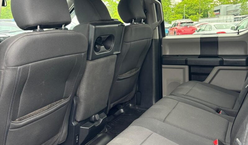 2019 Ford F-150 full