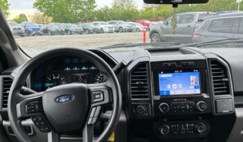 2019 Ford F-150 full