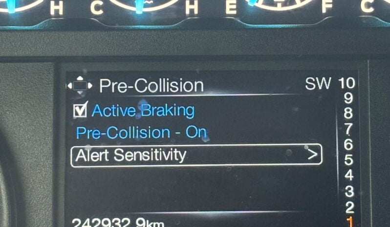 2019 Ford F-150 full